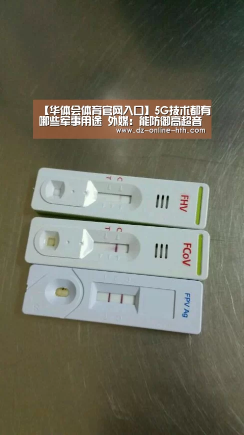 华体会体育官网入口