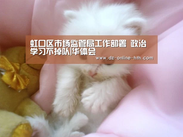 华体会app