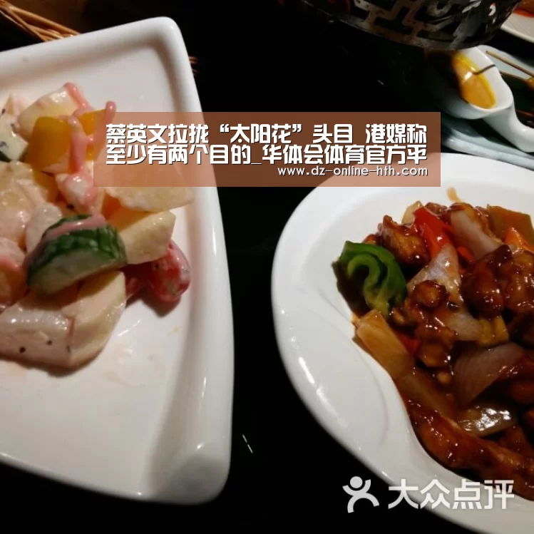 蔡英文拉拢“太阳花”头目 港媒称至少有两个目的_华体会体育官方平台(图2) 华体会体育官网入口