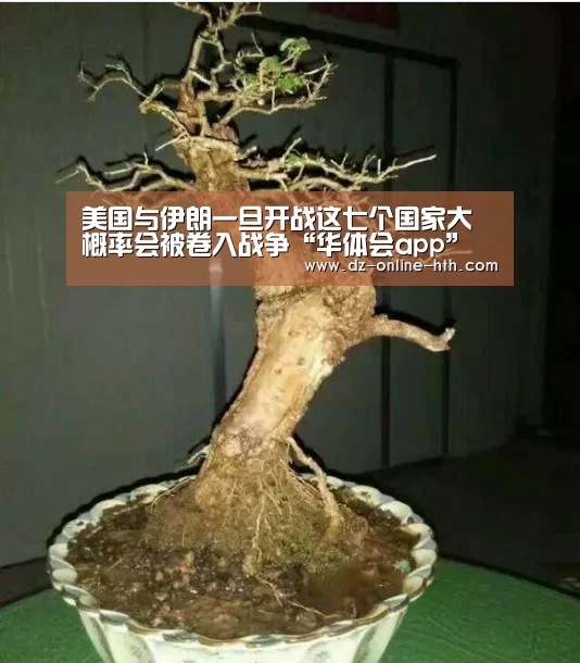 美国与伊朗一旦开战这七个国家大概率会被卷入战争“华体会app”(图3) 华体会app