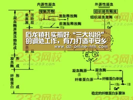 华体会app