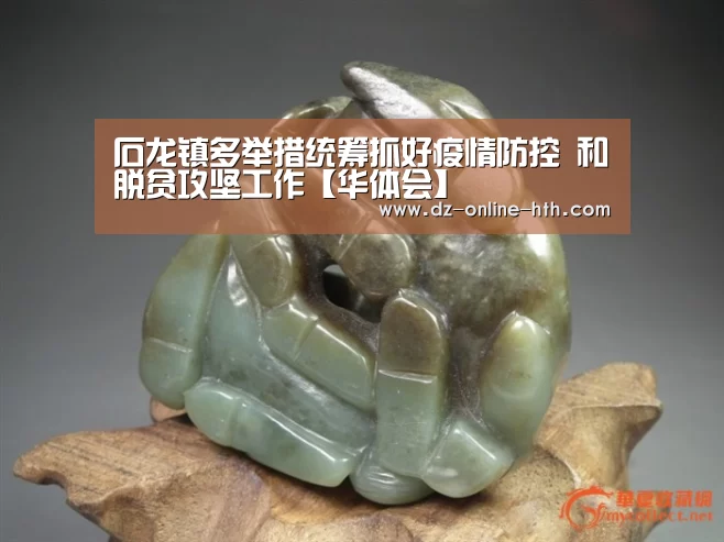 石龙镇多举措统筹抓好疫情防控 和脱贫攻坚工作【华体会】(图3) 华体会体育官网入口