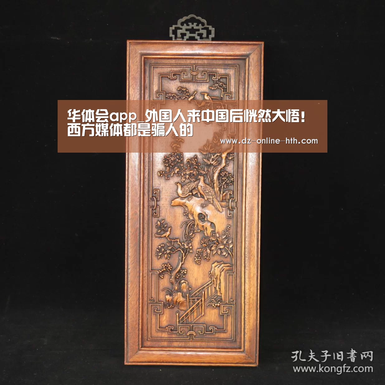华体会app_外国人来中国后恍然大悟!西方媒体都是骗人的(图2) 华体会体育官方平台