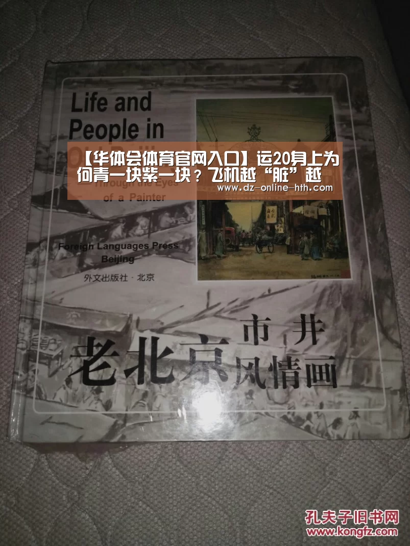 【华体会体育官网入口】运20身上为何青一块紫一块?飞机越“脏”越有战力(图2) 华体会